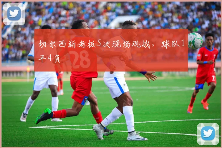 切尔西新老板5次现场观战，球队1平4负